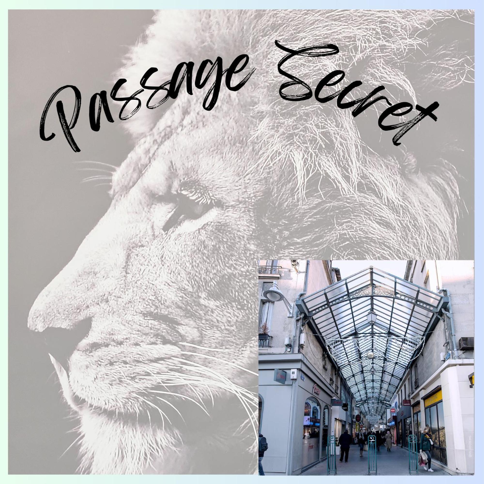 Passage Secret - Ideal Pro, Couples, Familles & Amis - Le Calme En Hypercentre - Wifi Haut Debit - Netflix - Machine A Laver - Gare, Cathedrale, Commerces, Restaurants & Transports En Commun A Moins De 10 Minutes A Pied Reims Buitenkant foto